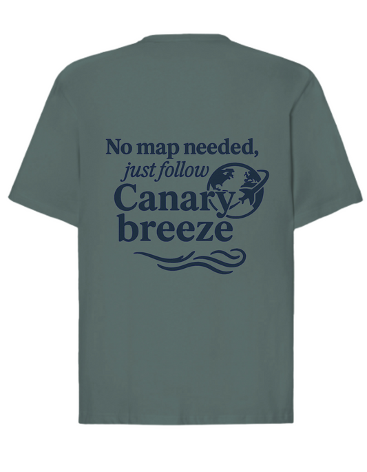 POSTAL Nº12 — CANARY BREEZE