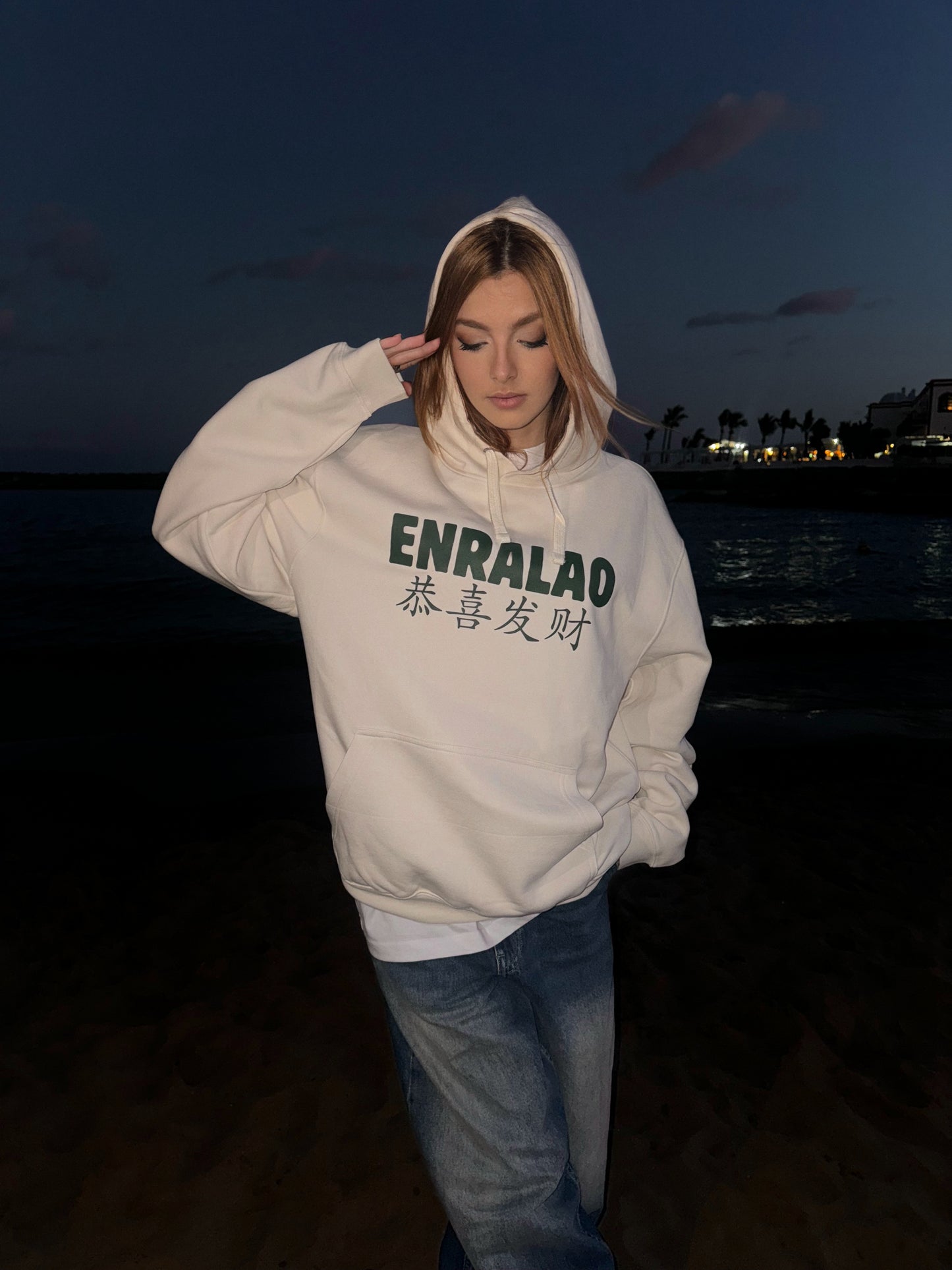 POSTAL Nº6 — GEISHA